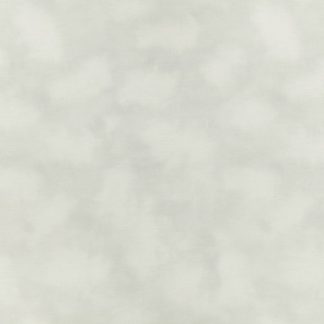 Pale ash wallpaper with soft cloudy grey-white tonal mottling