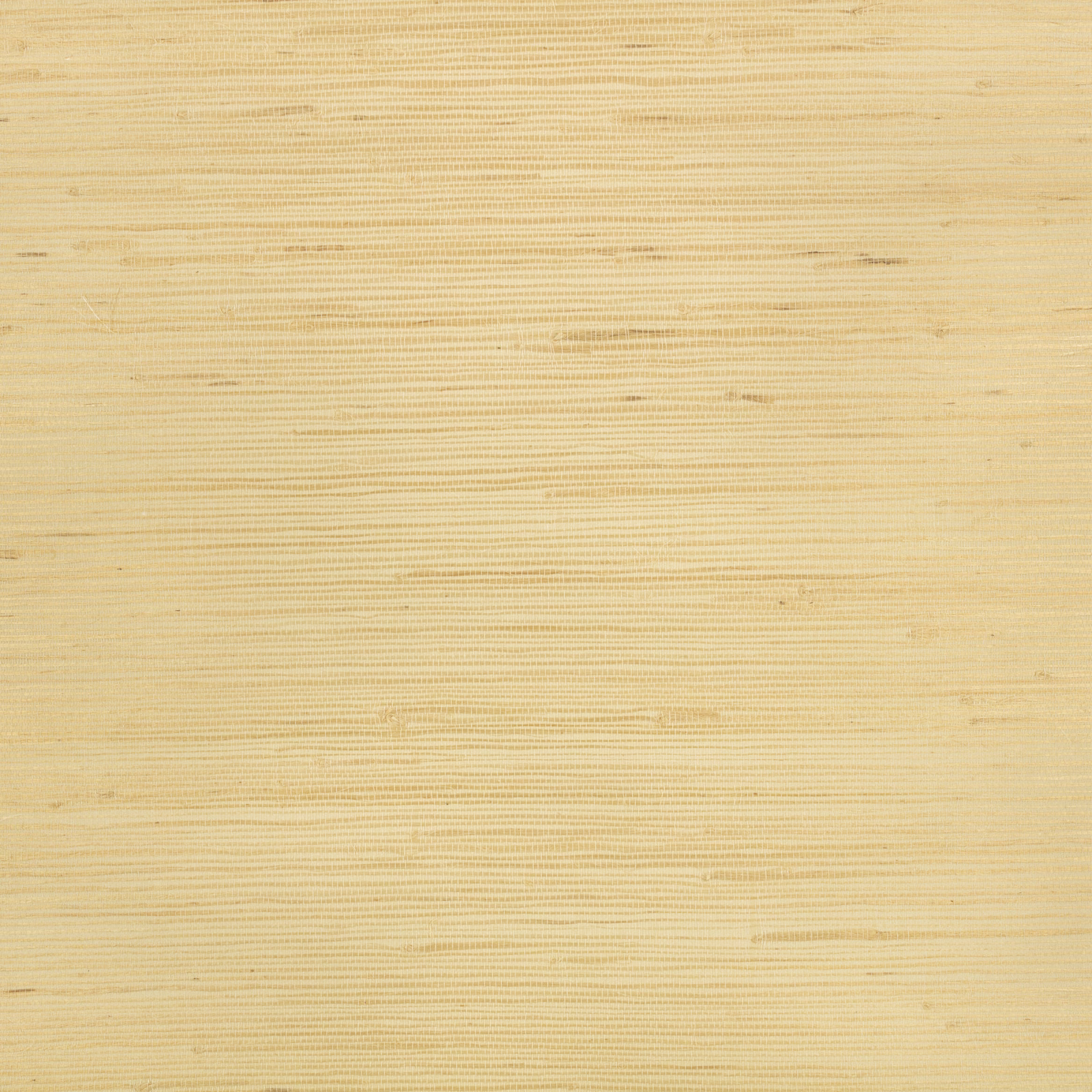 Warm sandy beige wallpaper with fine irregular horizontal striations