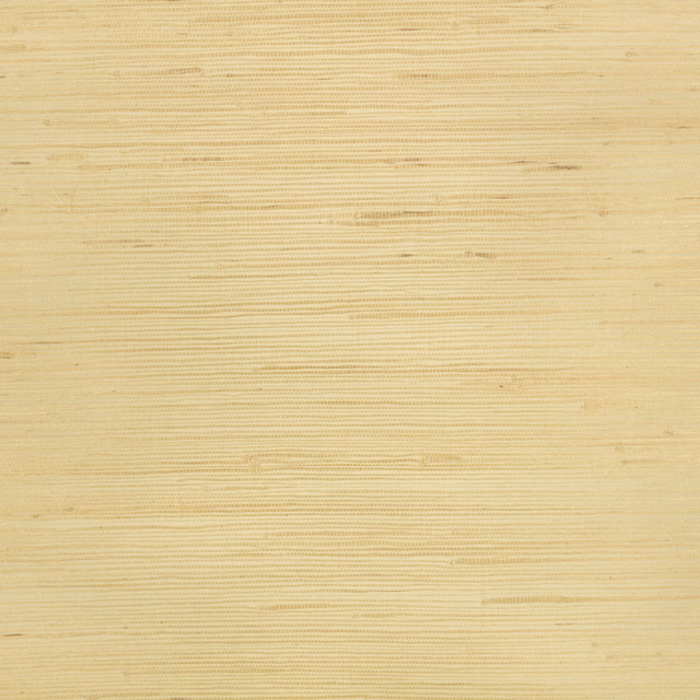 Warm sandy beige wallpaper with fine irregular horizontal striations