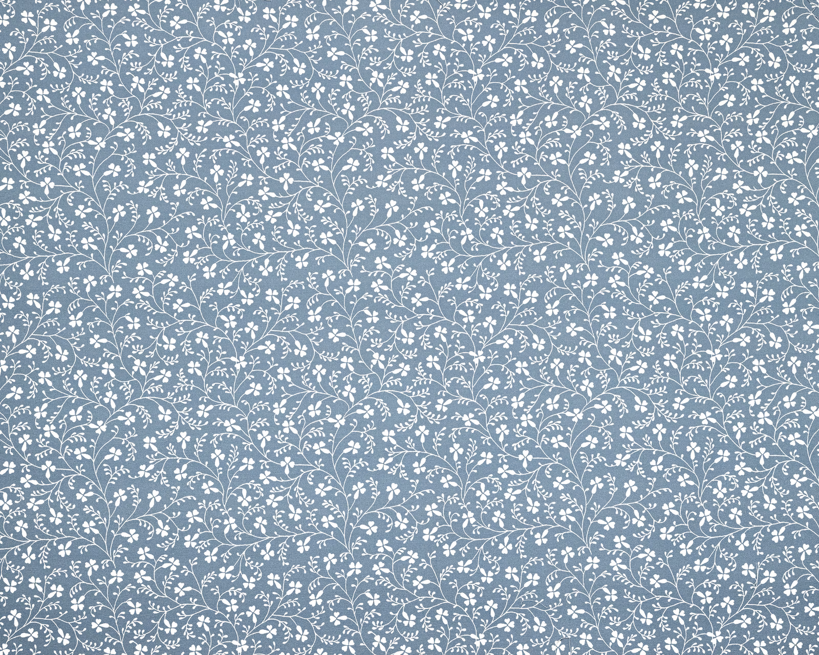 Lacampionda fabric