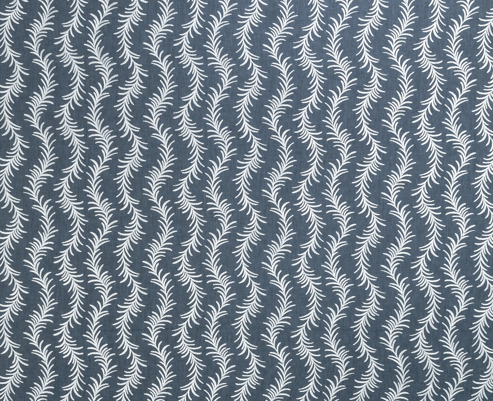 Ladeese fabric