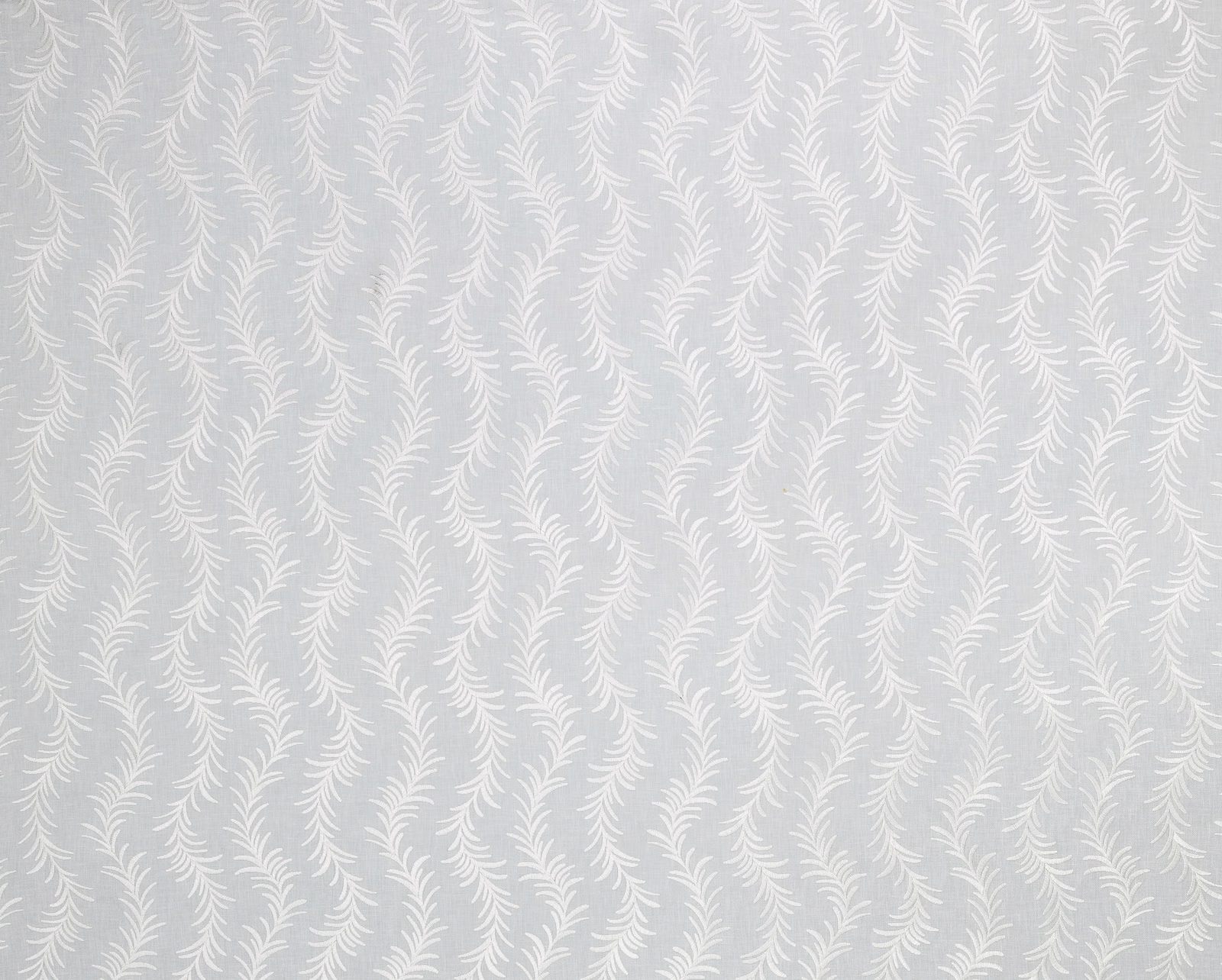 Ladeesl fabric
