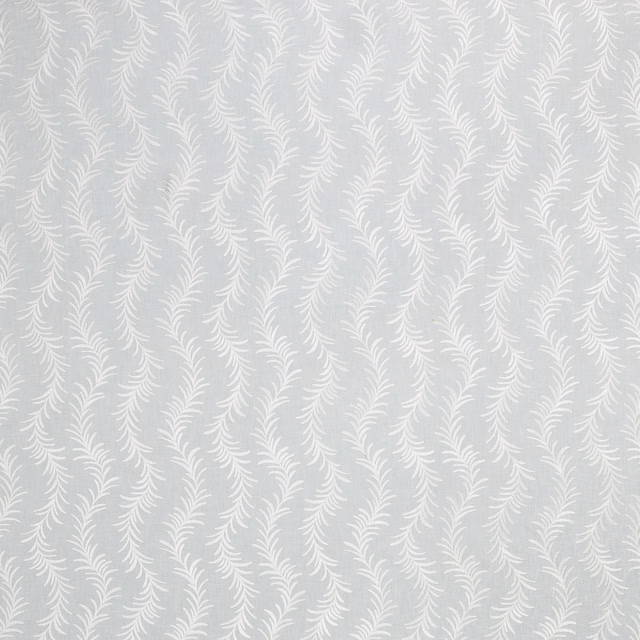 Ladeesl fabric