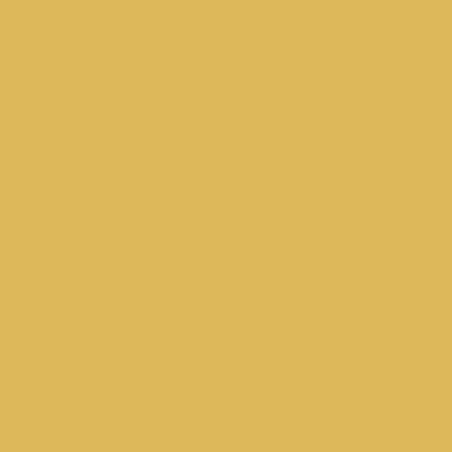 Light Gold fabric