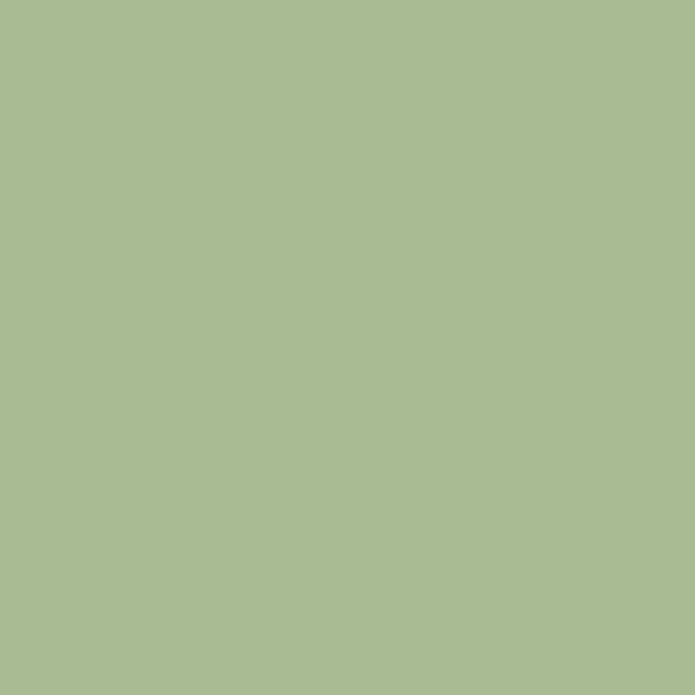 Pea Green fabric