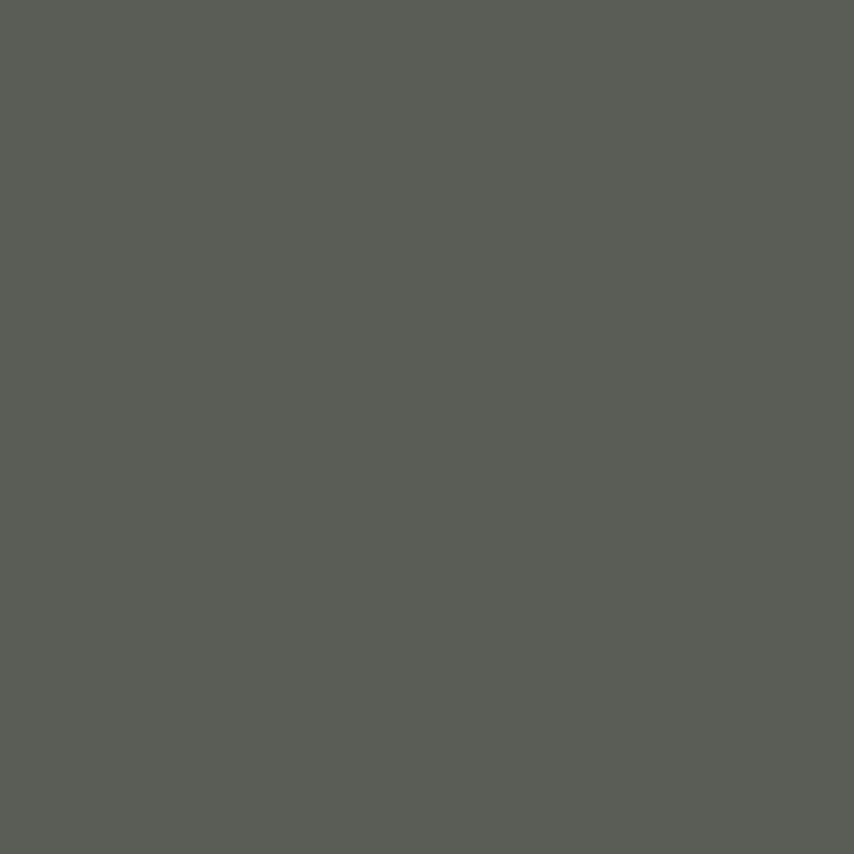 Pompeian Grey fabric