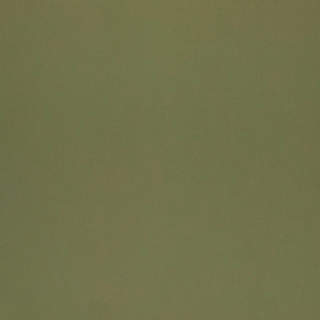 Muted olive-green fabric with a softly mottled, low-contrast woven surface