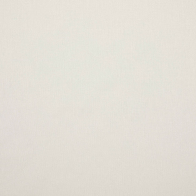Pale pearl fabric swatch with softly textured, even ivory surface