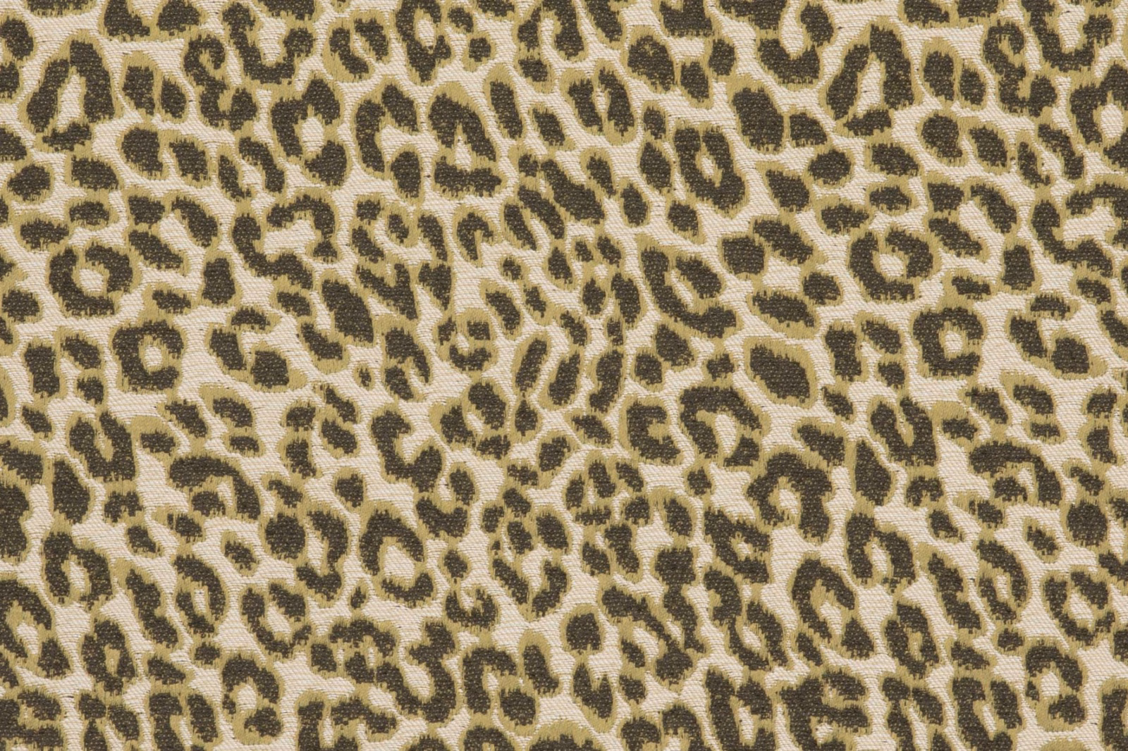 Warm bronze leopard spots with olive-brown and black detail on a textured cream ground