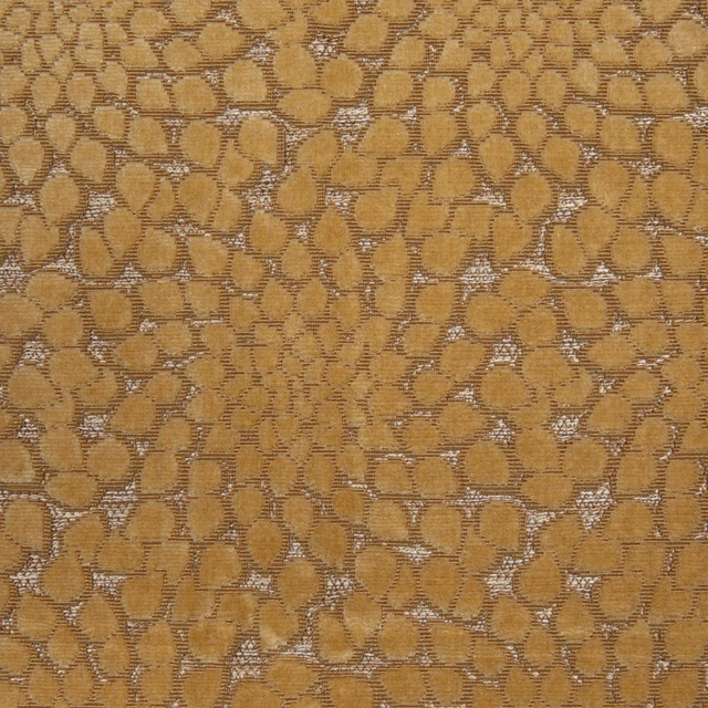 Warm ochre-gold woven textile with taupe outlines and rounded pebble-like motifs