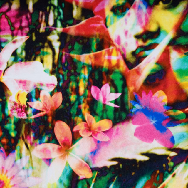 Vivid multicolour tropical floral collage with pink blossoms, green leaves and blue accents