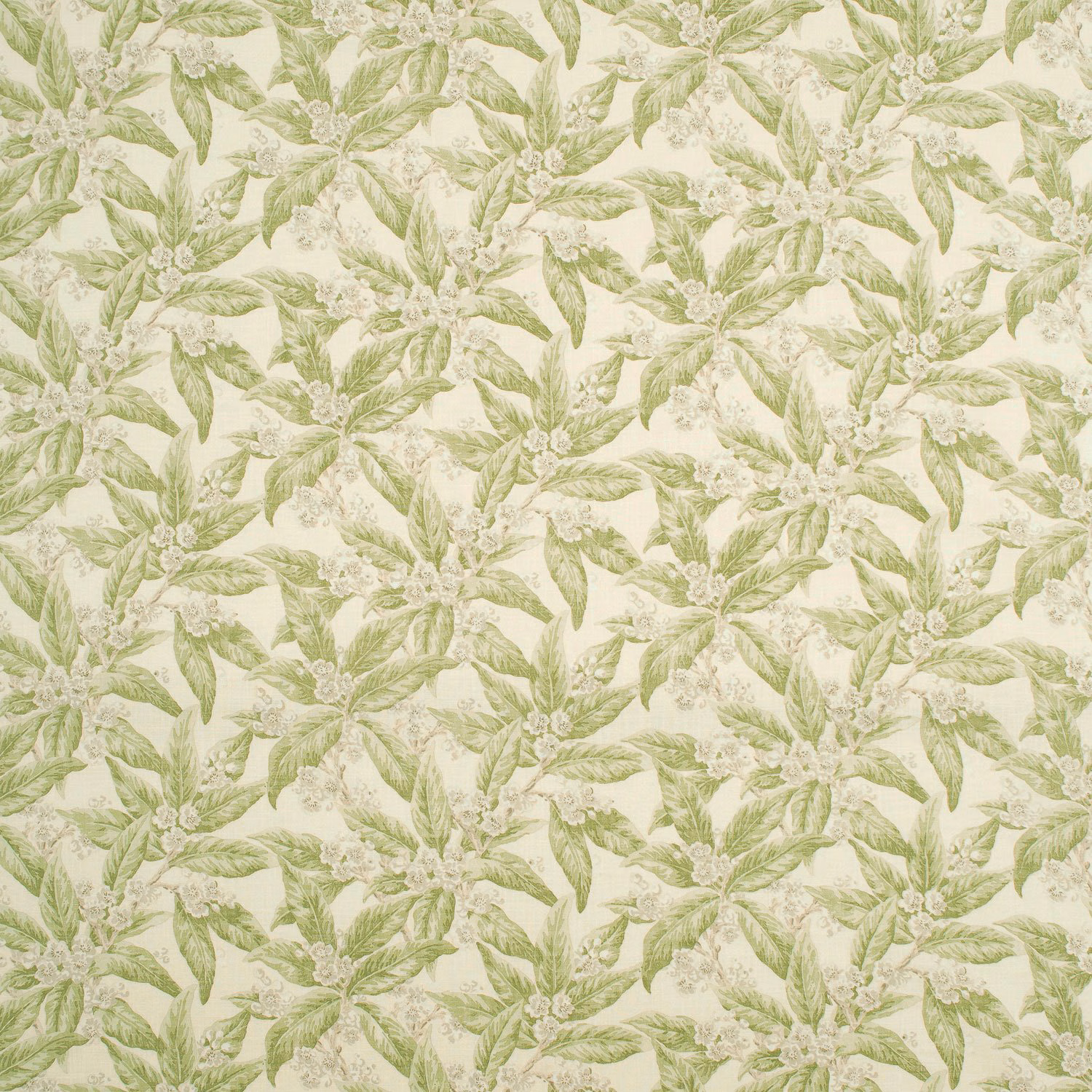 Cream fabric with pale apple-green leafy sprays and delicate botanical blossoms