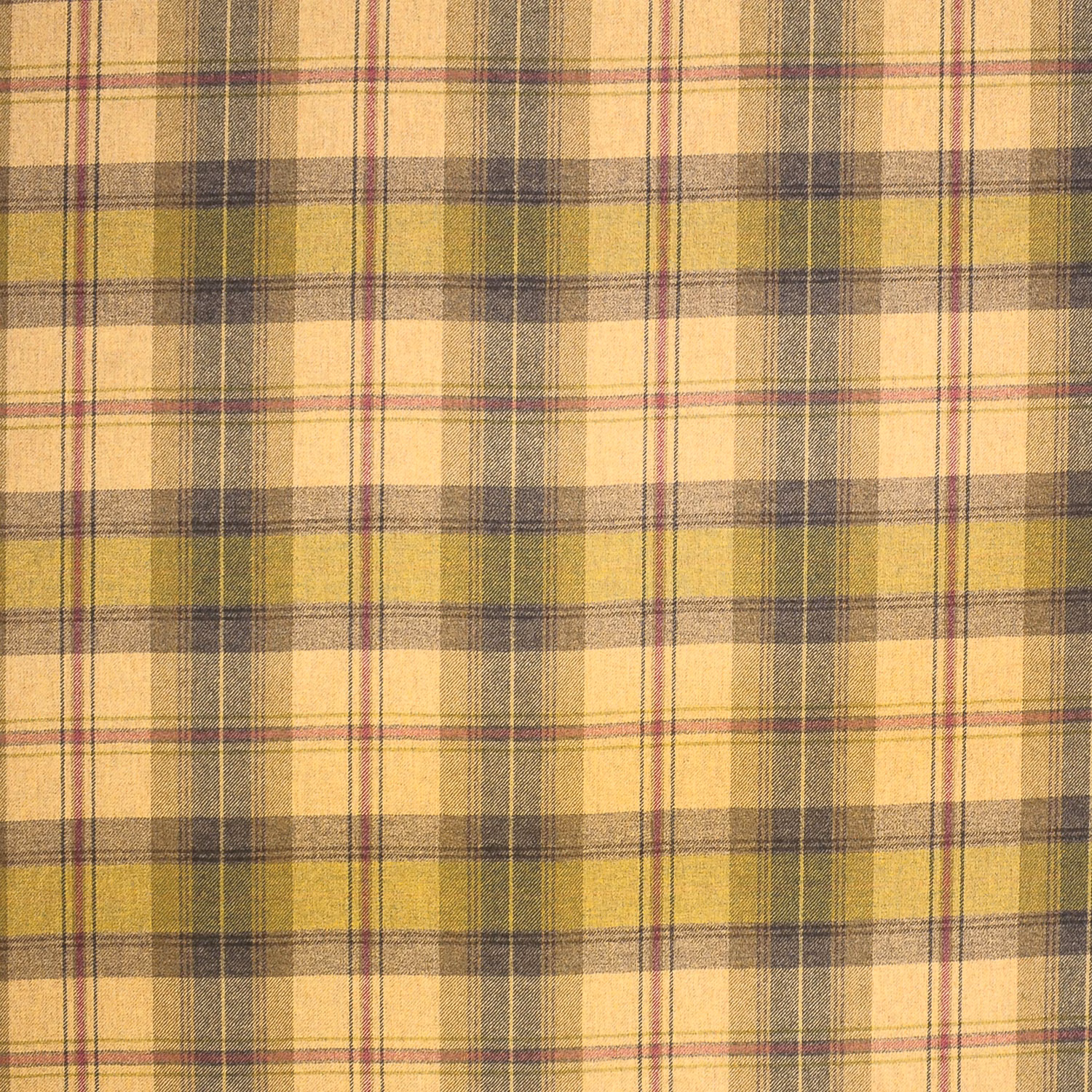 Muted olive and ochre wool plaid with fine burgundy pinstripes