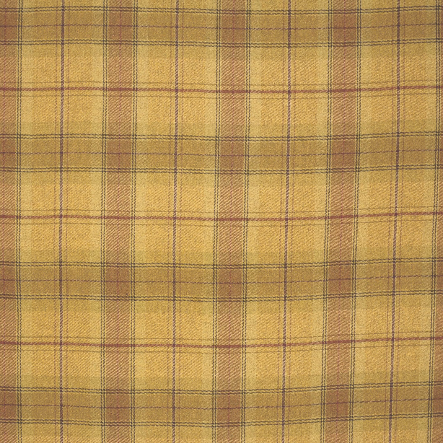 Muted ochre wool plaid with blue-grey and russet lines in a woven texture