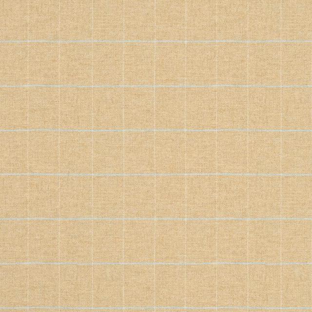 Belmont Conway fabric