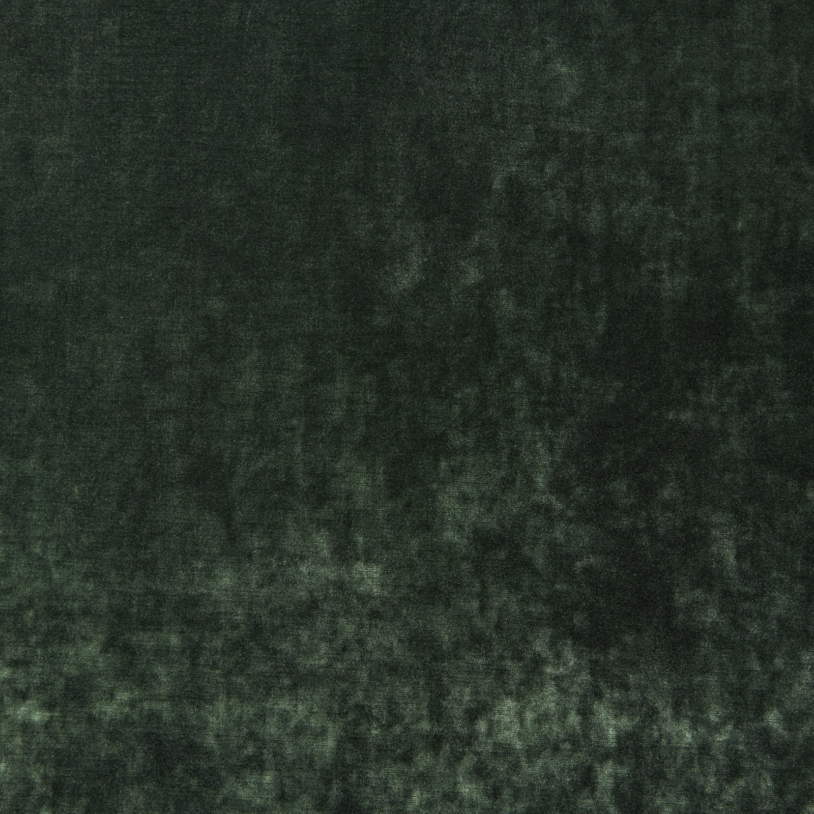 Deep bottle-green velvet with softly mottled shading and a plush, light-catching pile