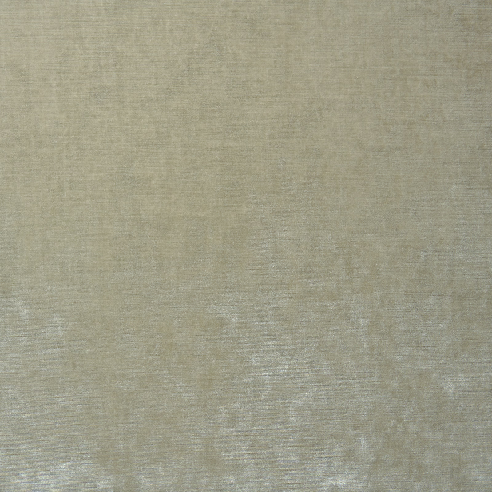 Warm cameo cream velvet with softly mottled directional nap and subtle beige shading