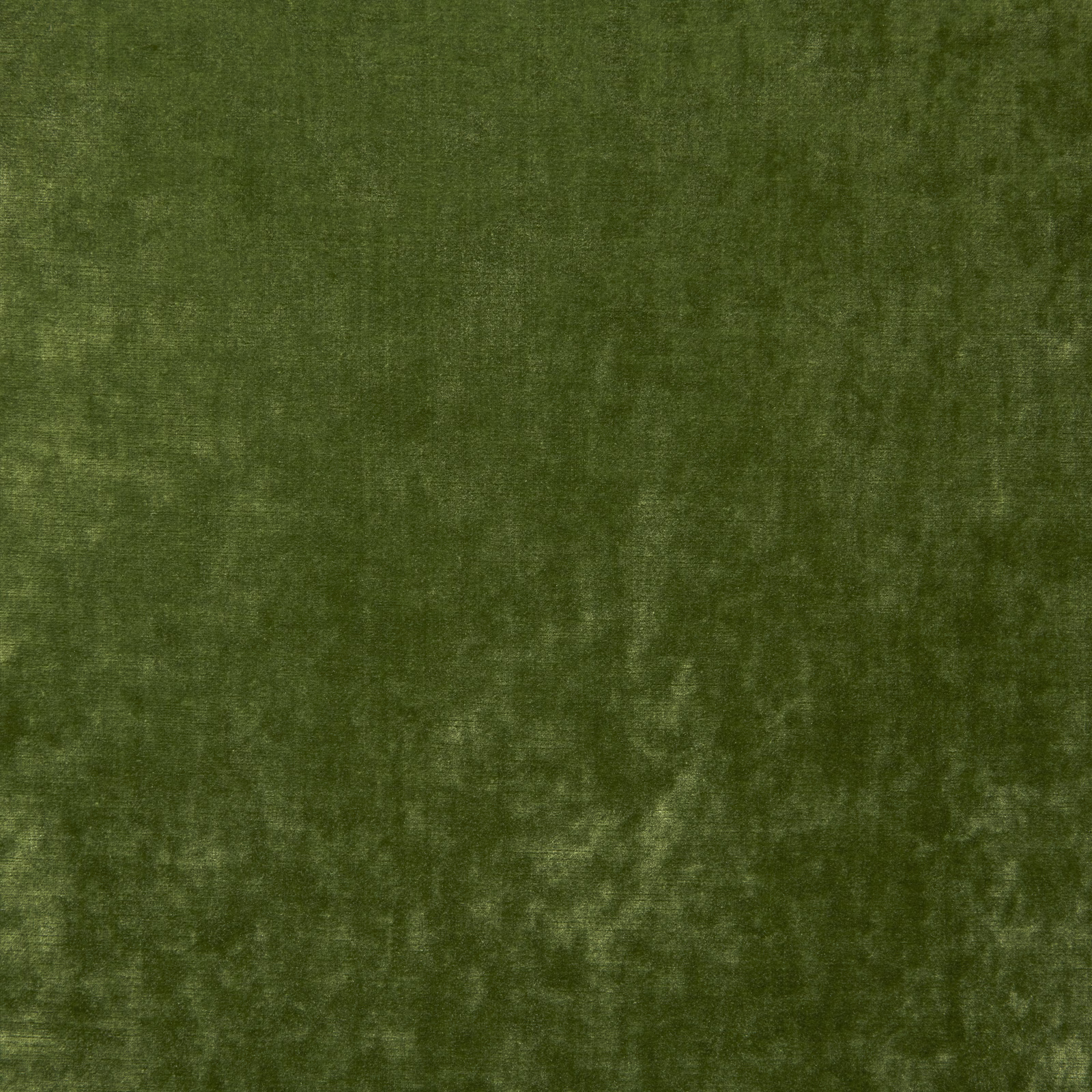 Deep olive-green velvet with soft nap and subtly mottled light-catching surface