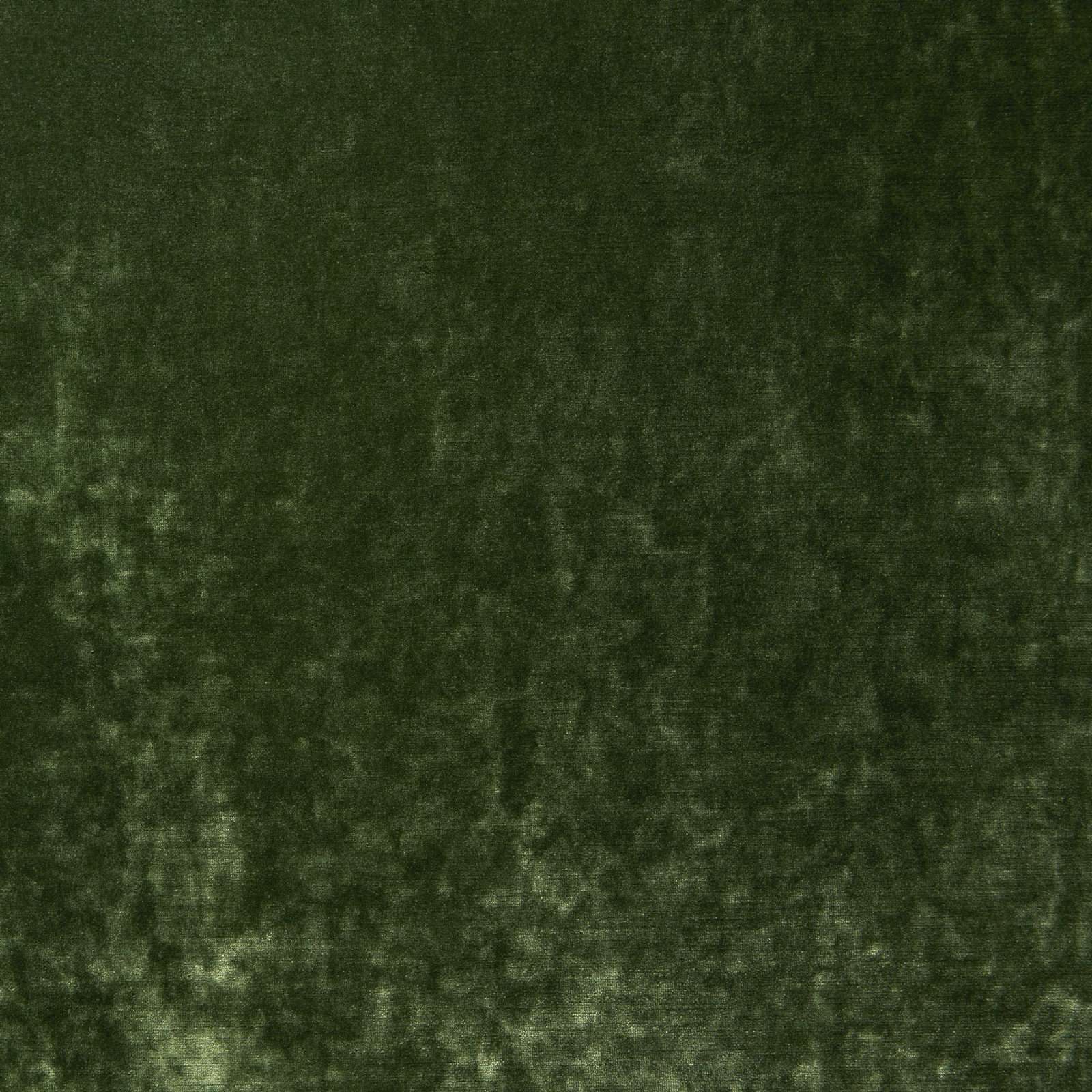 Deep pine green velvet with a softly mottled nap and low sheen