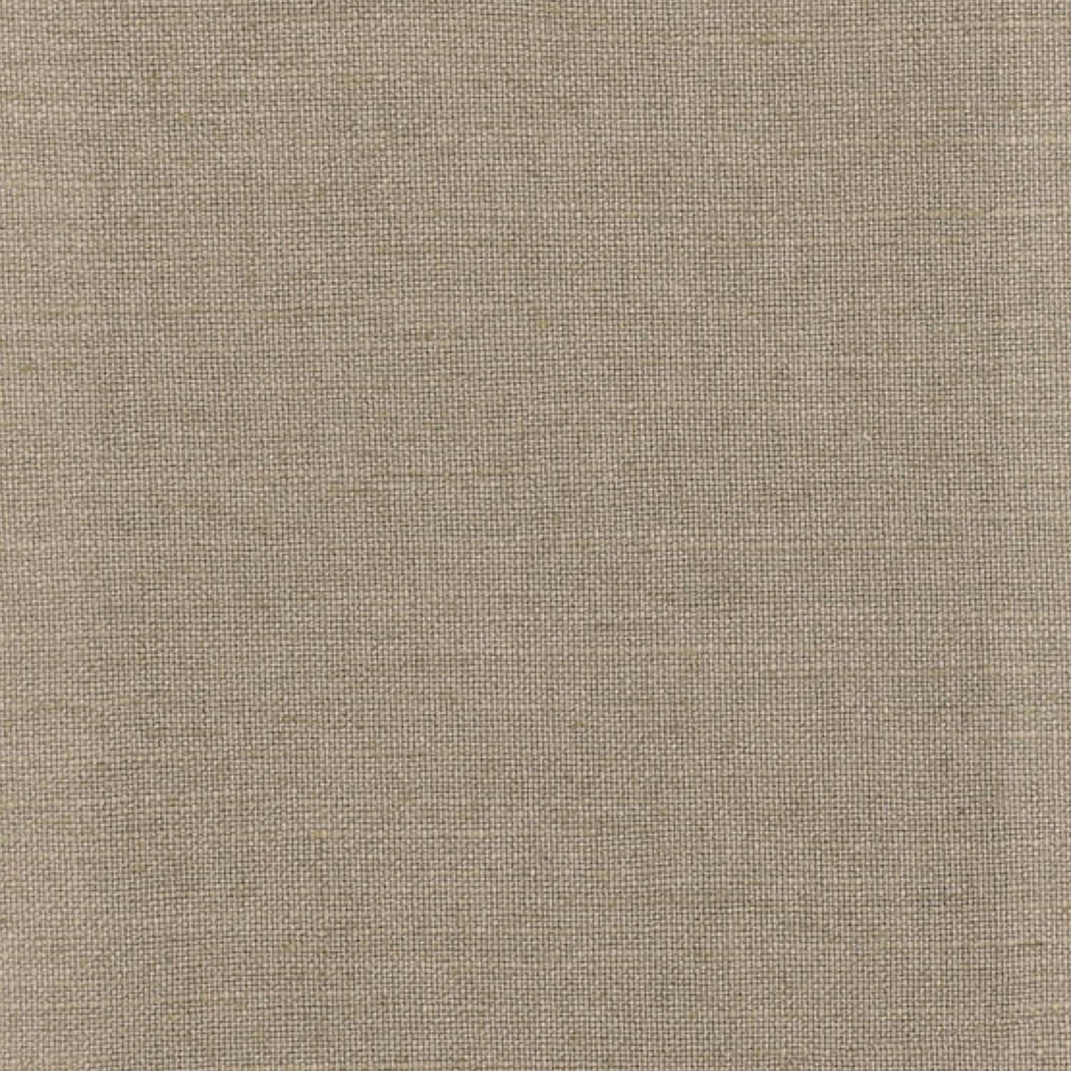 Juno Moleskin fabric