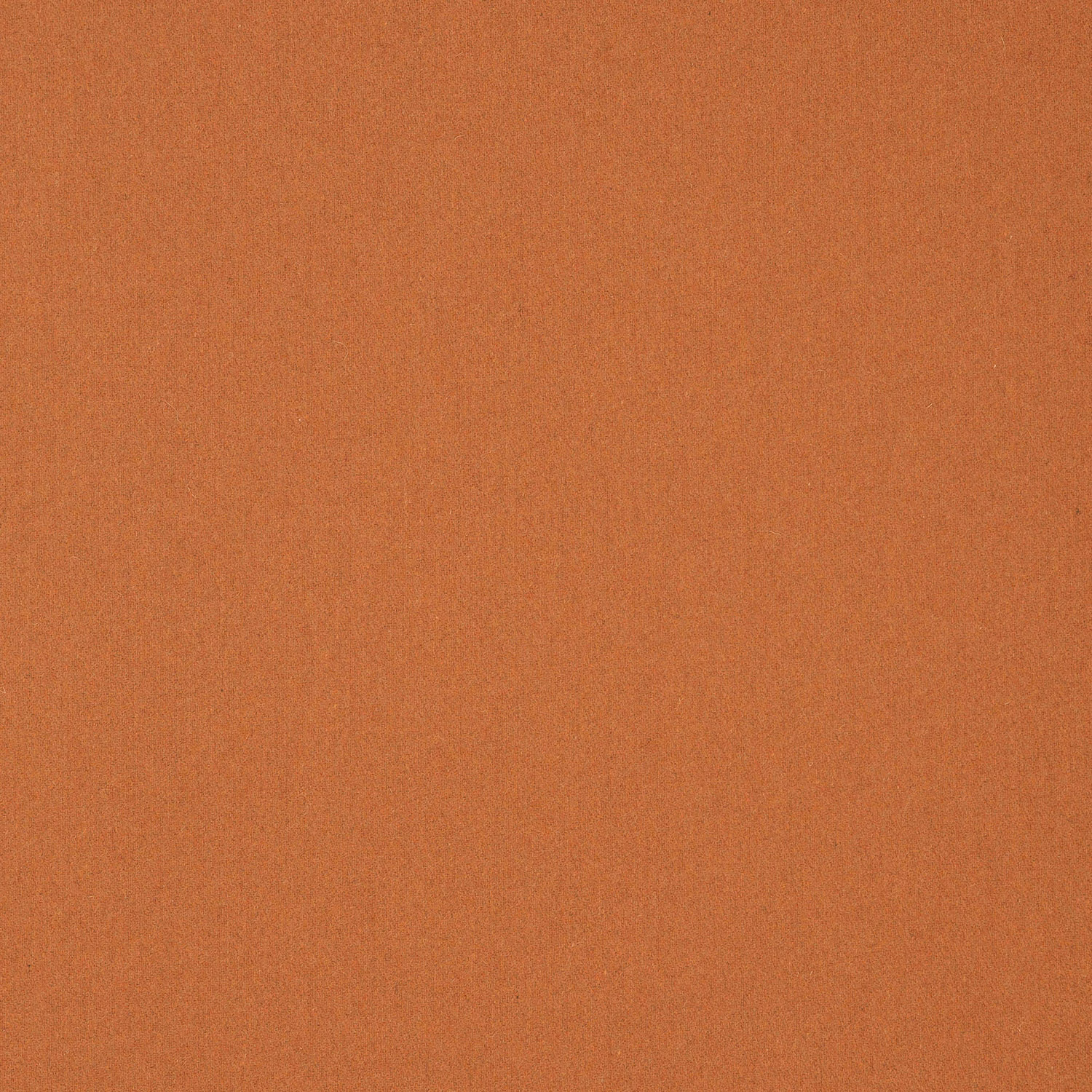 Close-up of warm apricot terracotta plain weave with subtly mottled wool texture