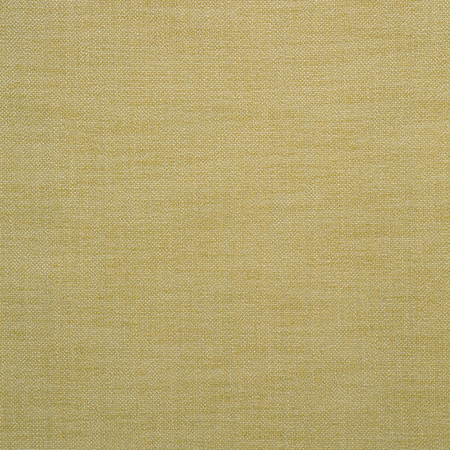 Close-up of muted butterscotch gold plain weave with fine tonal texture