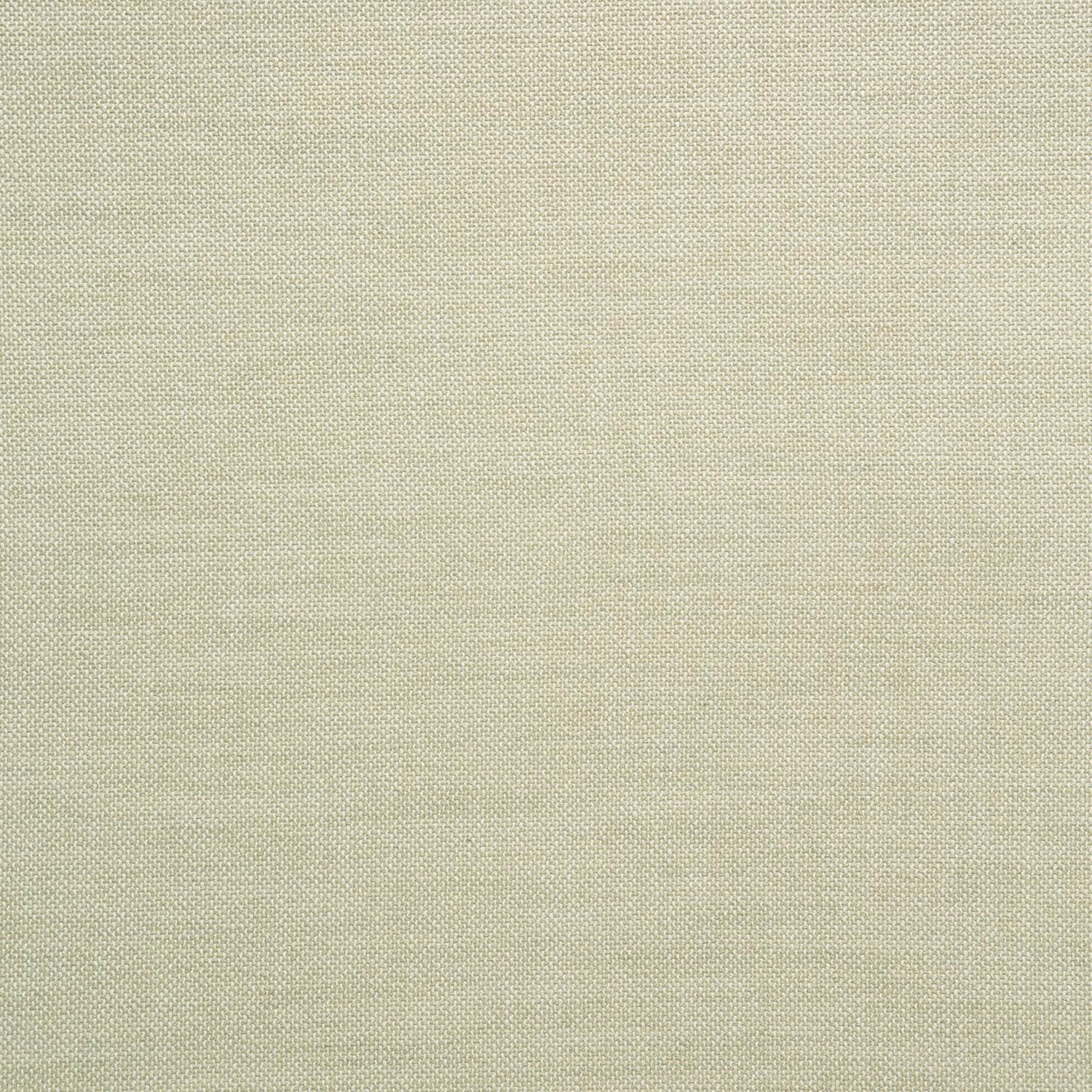 Pale lace-ivory plain weave with a fine, softly textured grid