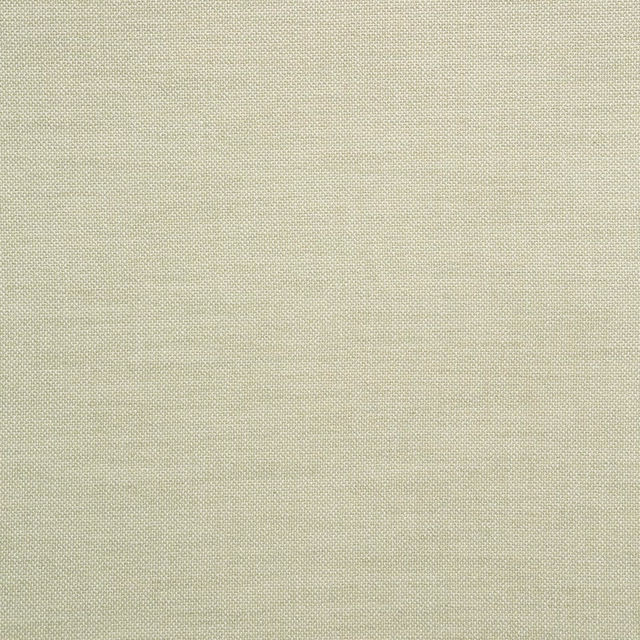 Pale lace-ivory plain weave with a fine, softly textured grid