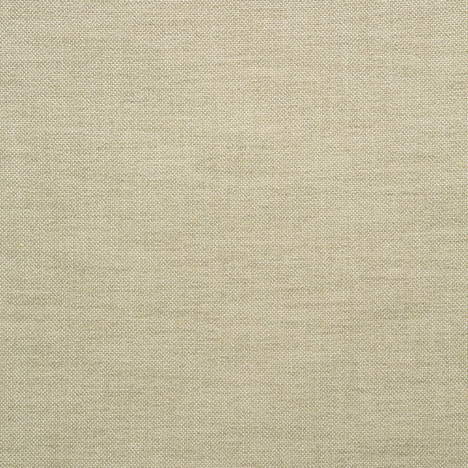 Warm ivory cream plain fabric showing a fine, subtly flecked woven texture