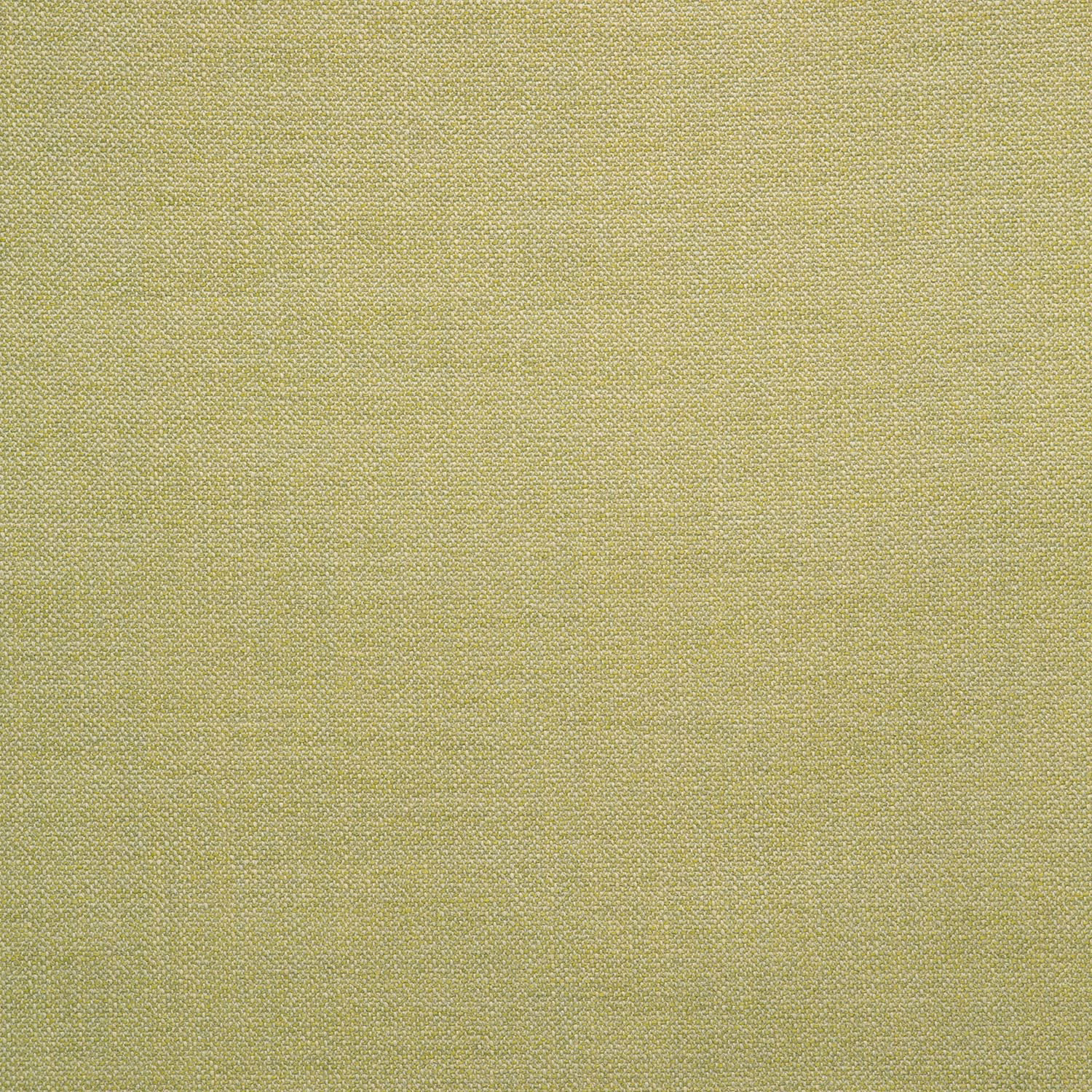 Close-up of muted sandy-gold plain weave with fine olive-beige crosshatching