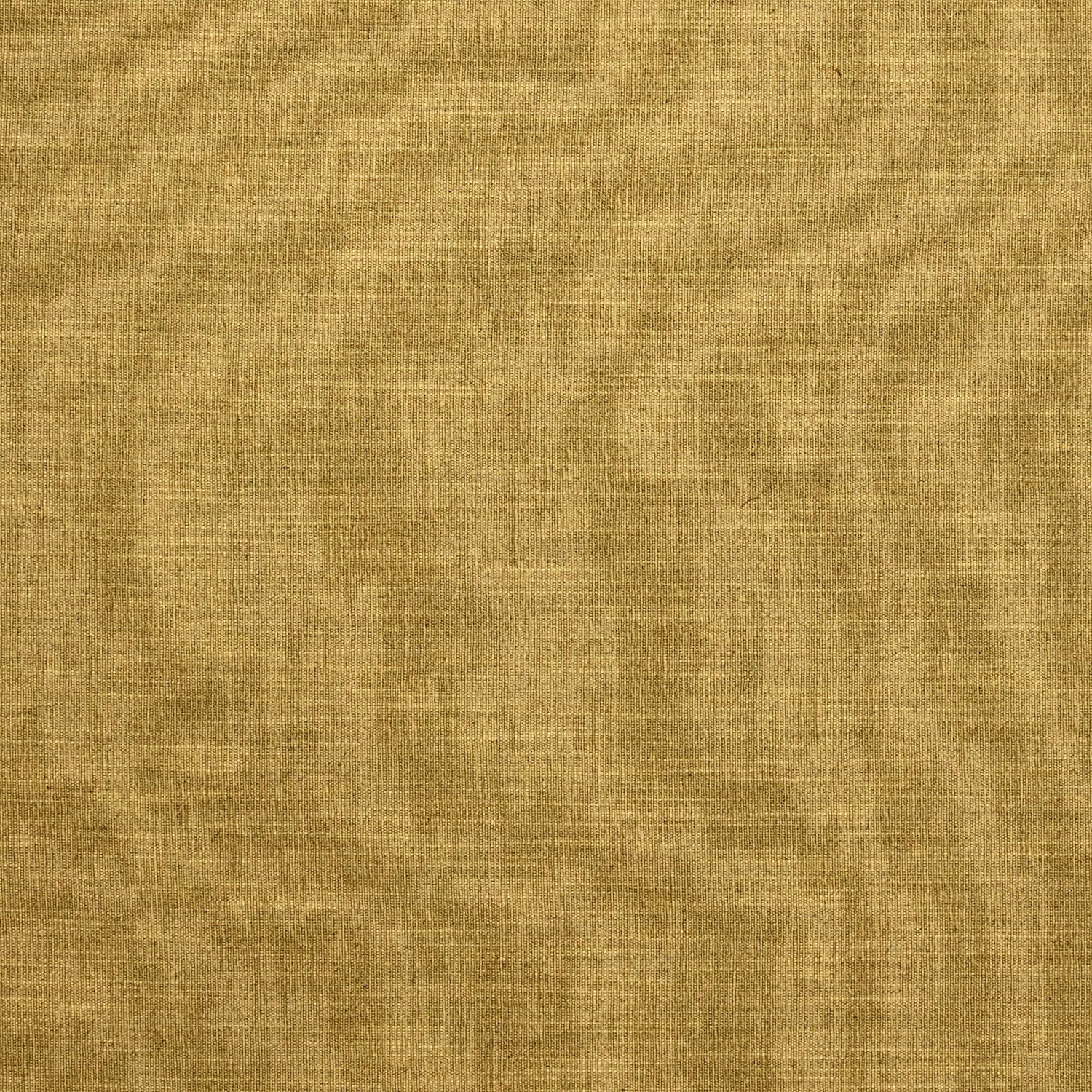 Warm maize-gold plain weave with fine horizontal slubs and softly mottled depth