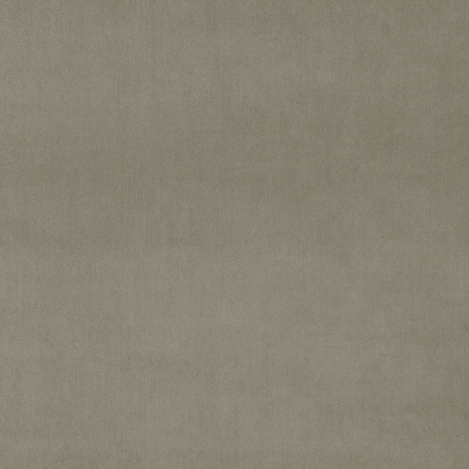Omega Ash fabric