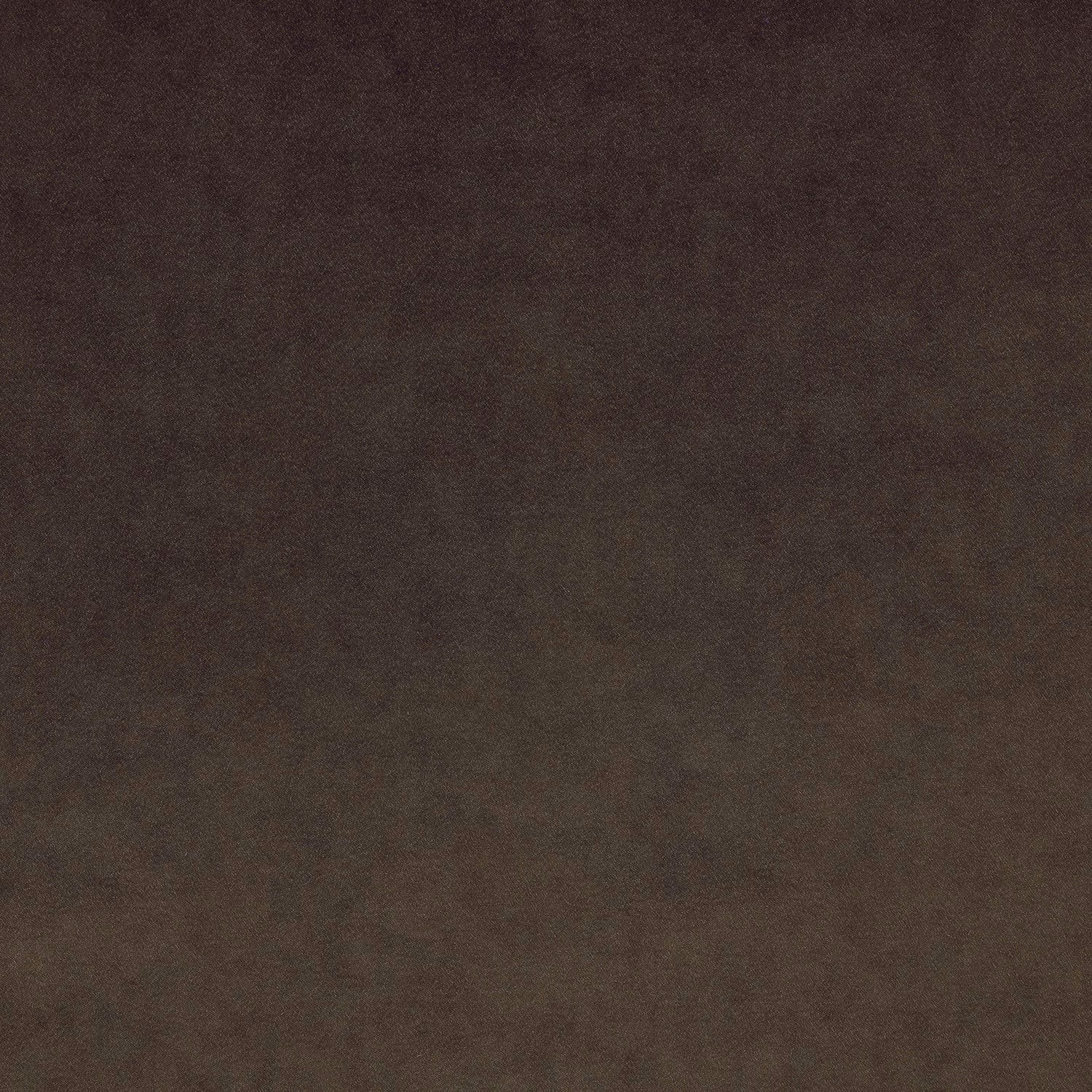 Omega Cafe Noir fabric
