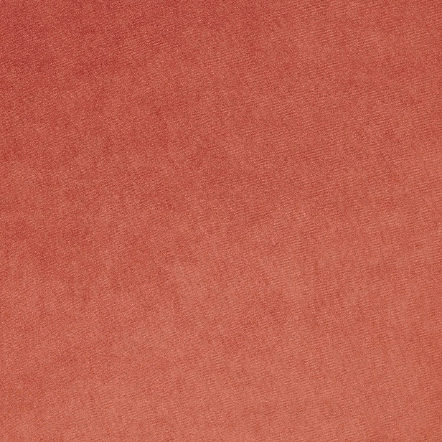 Omega Carnival fabric