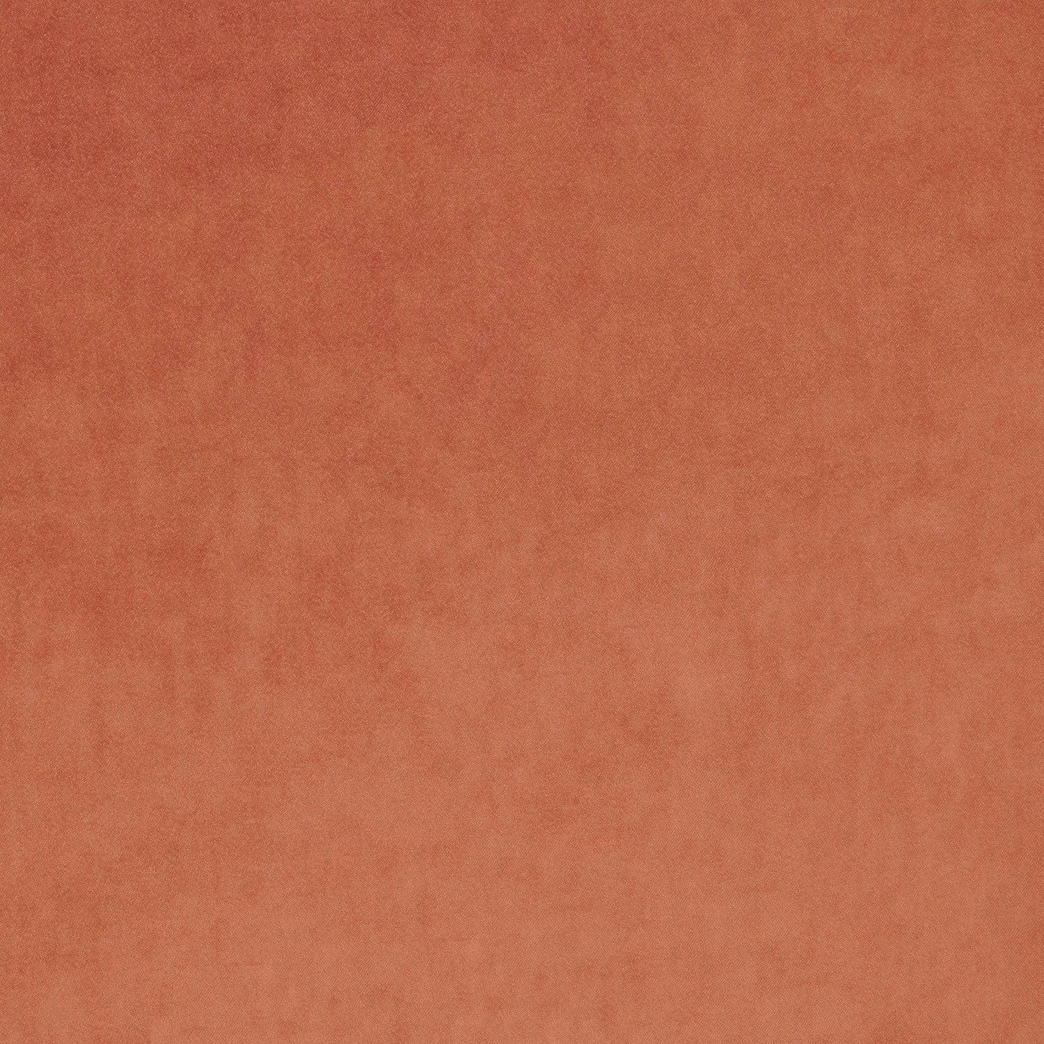 Omega Coral fabric
