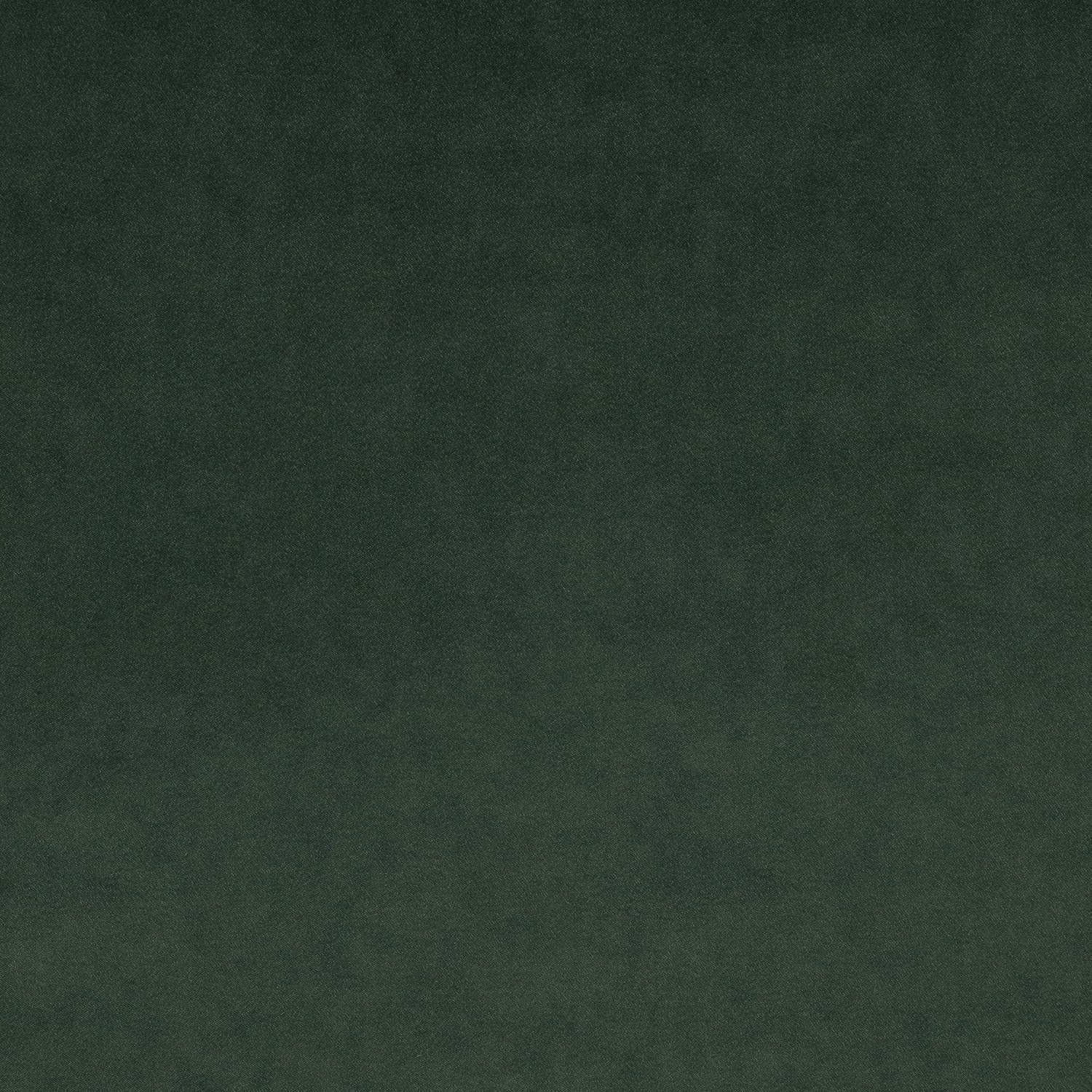 Omega Evergreen fabric