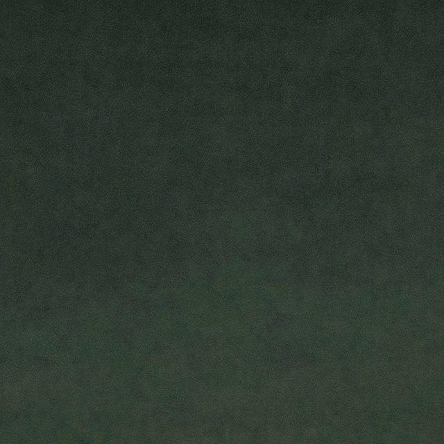 Omega Evergreen fabric