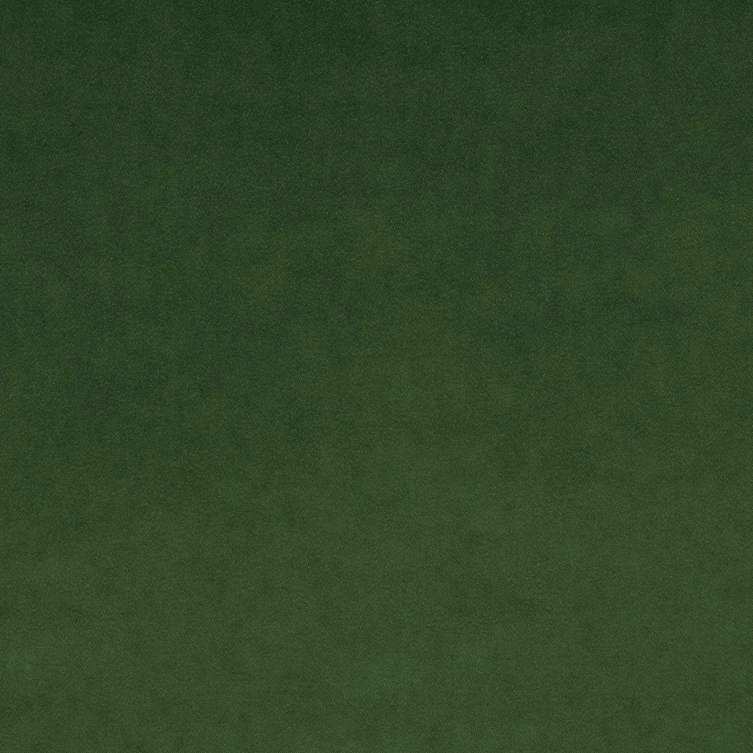 Omega Fern fabric