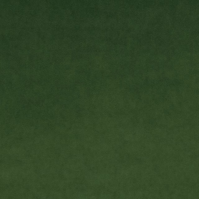 Omega Fern fabric