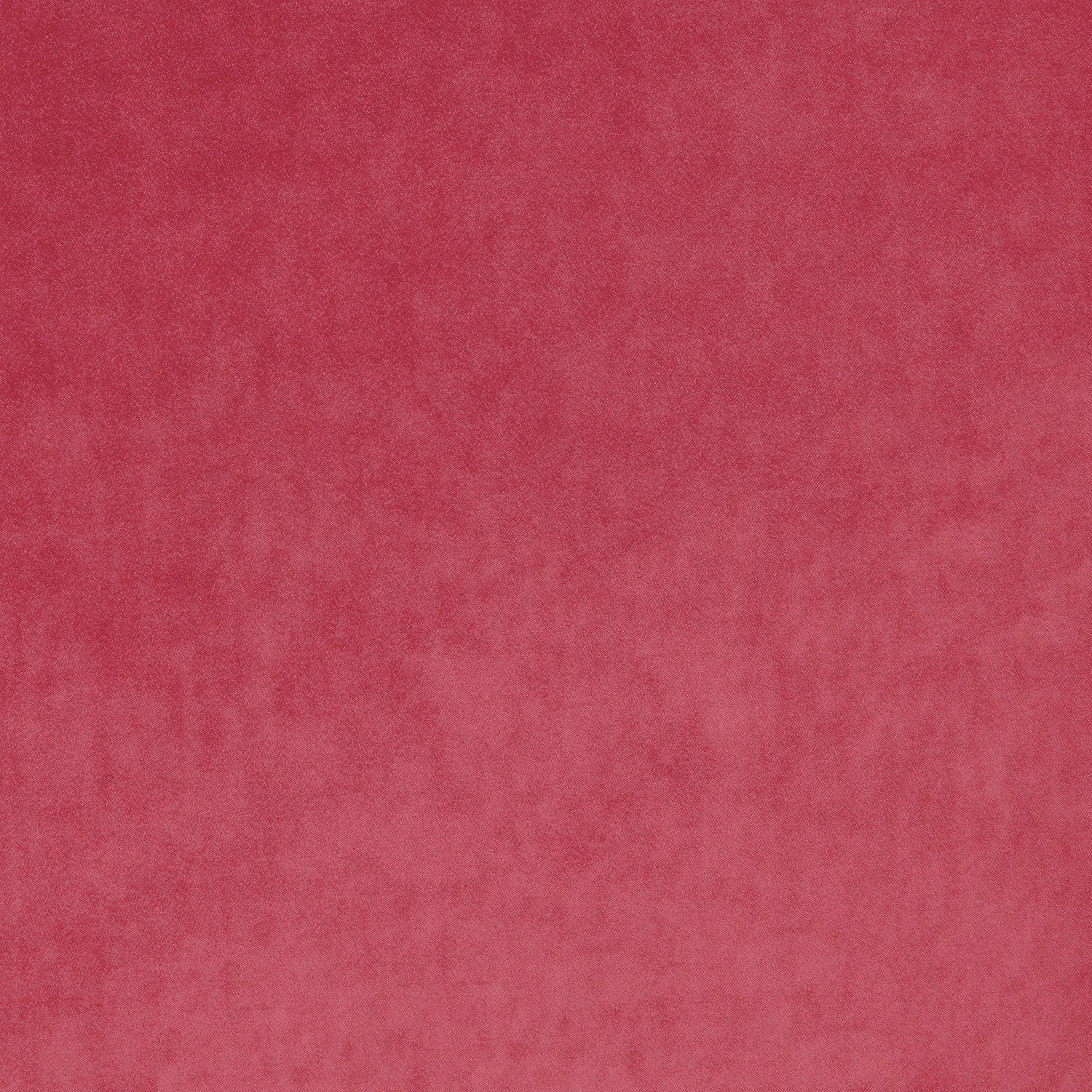 Omega Folly fabric