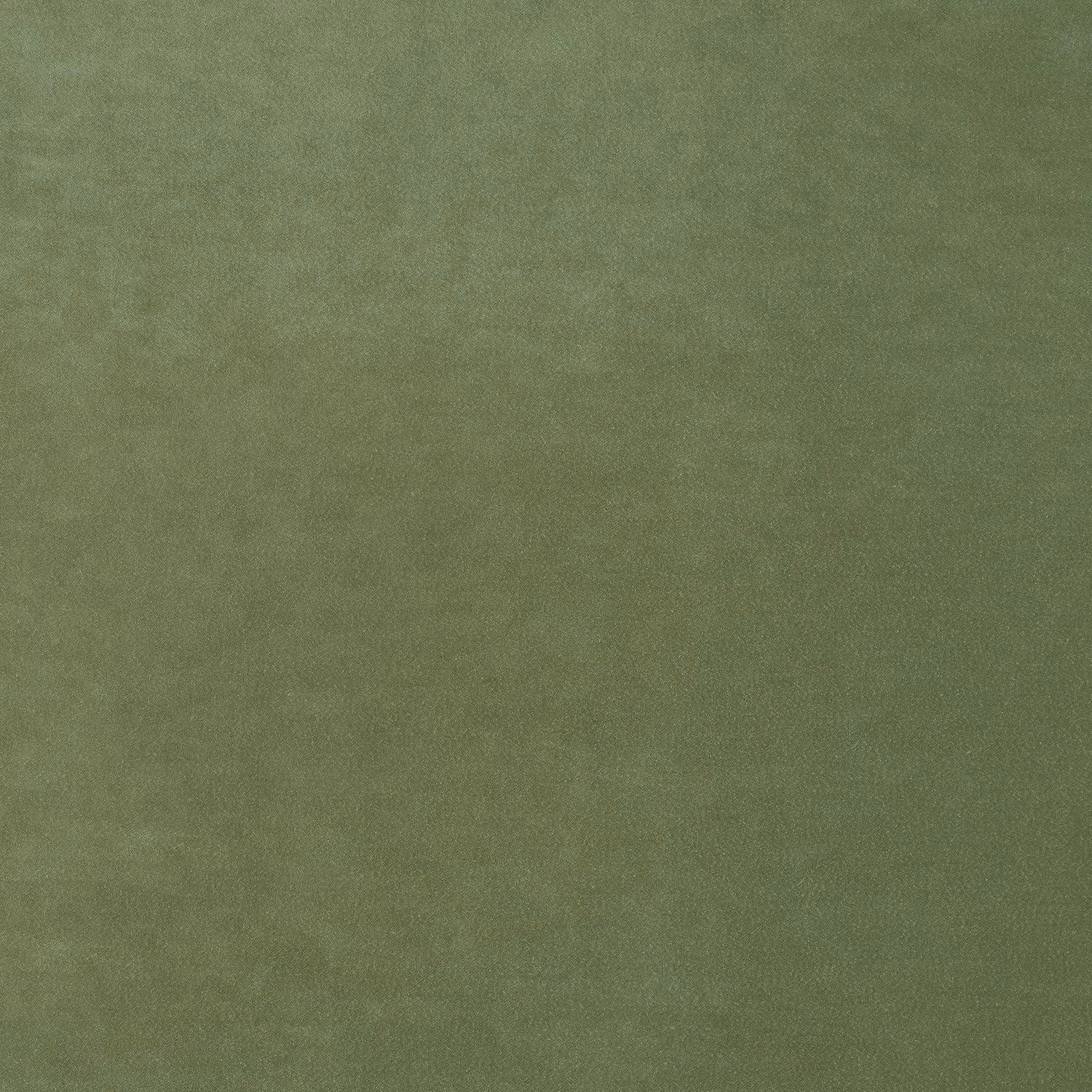 Omega Green Tea fabric