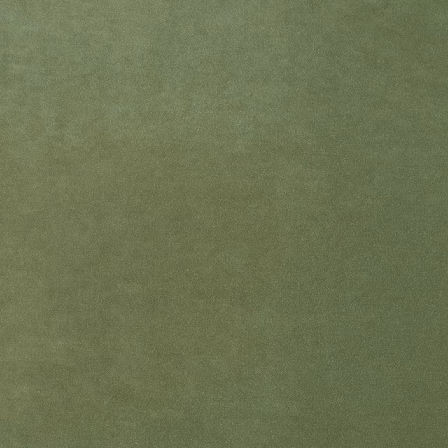 Omega Green Tea fabric