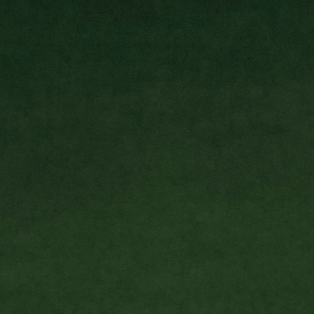 Omega Hunter Green fabric
