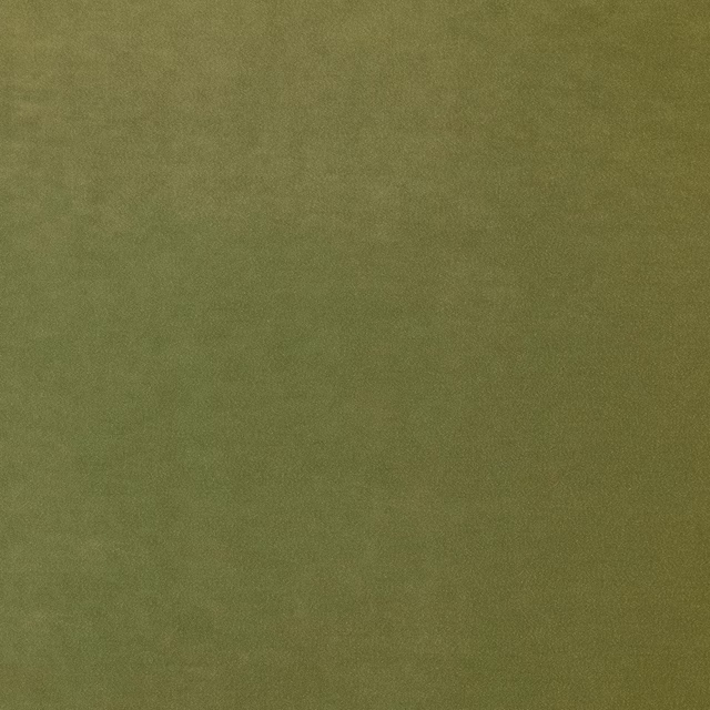 Omega Lime fabric