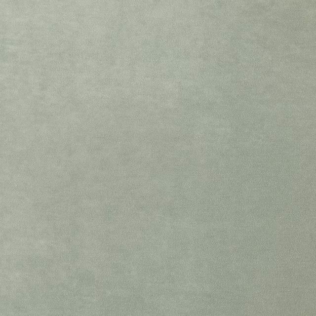 Omega Moonbeam fabric