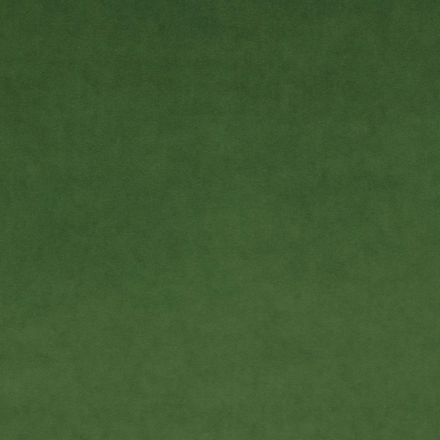 Omega Parakeet fabric