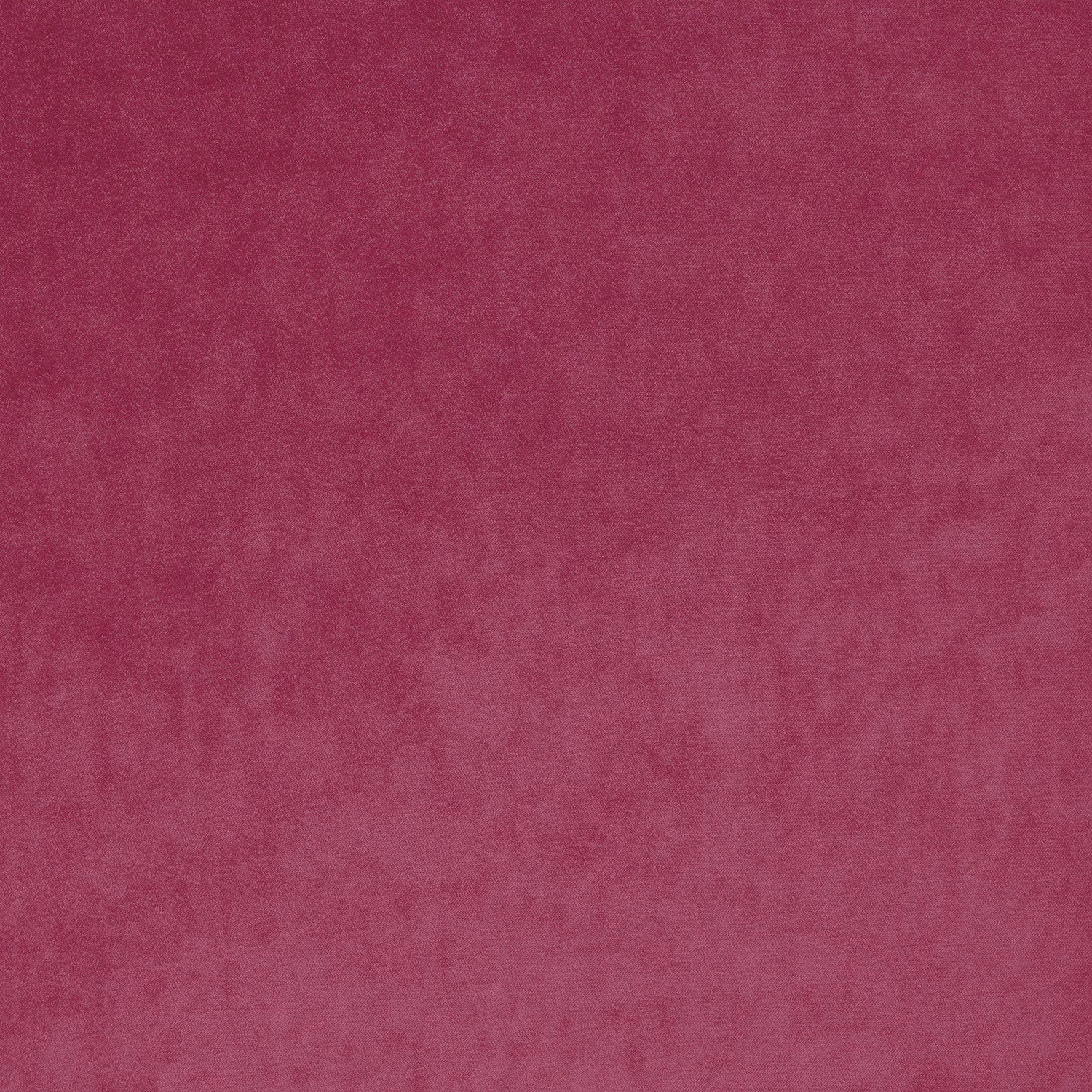 Omega Pink fabric