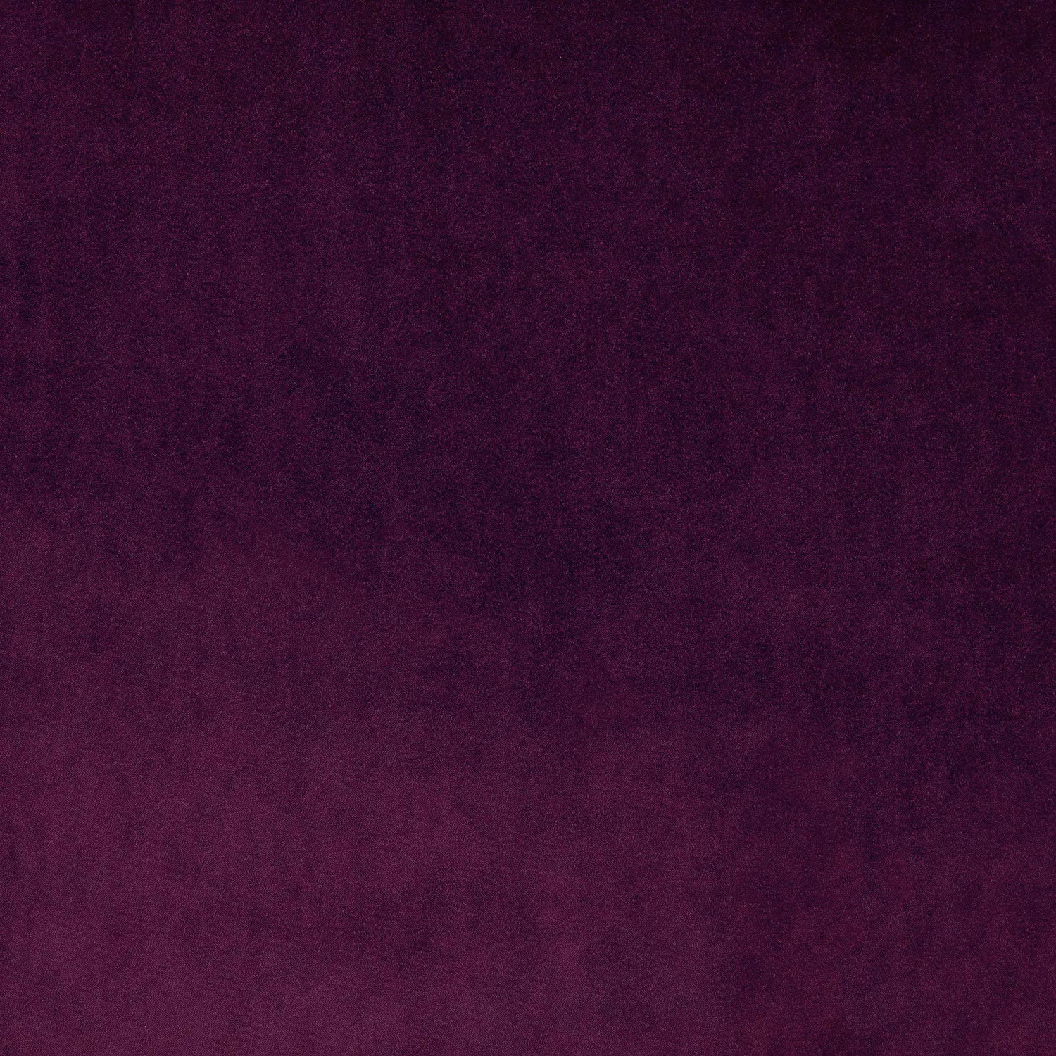 Omega Pitaya fabric