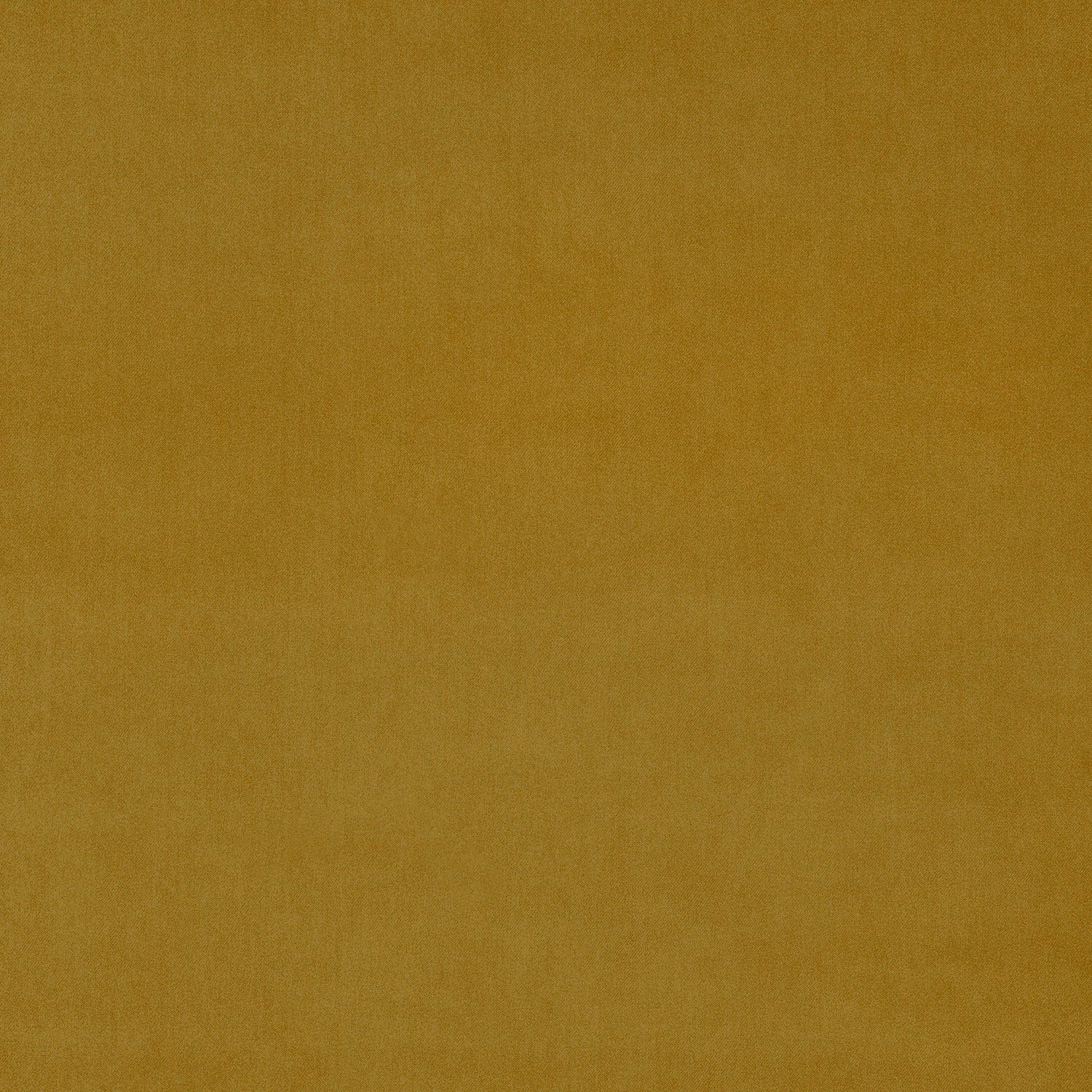 Muted brass-gold velvet swatch with a soft, plain pile