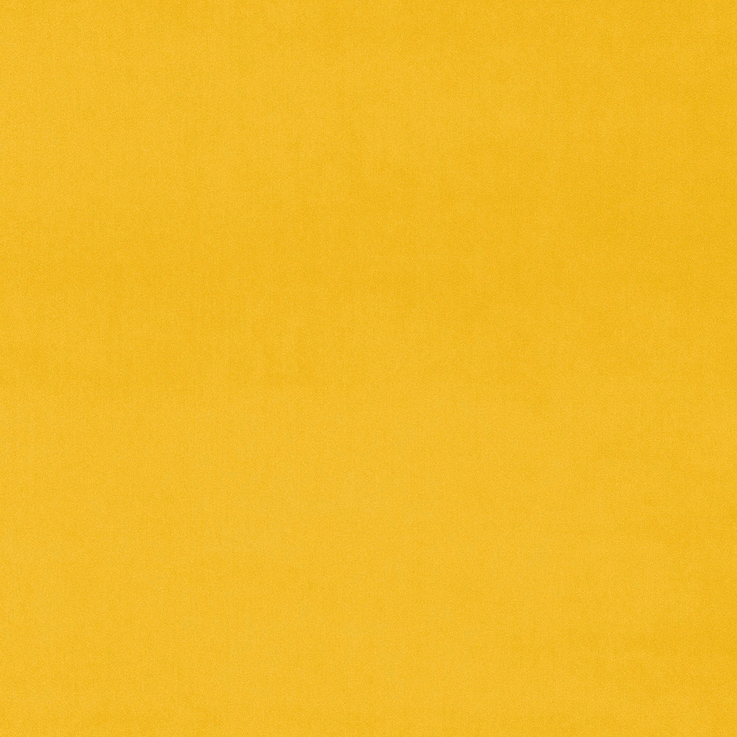 Bright canary yellow plain velvet fabric with a smooth, soft sheen